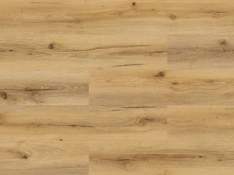 48757-spc50 plus_dub_terrasa Experto LVT 55 Dub Terrassa 1036-2 - Obrázek 1