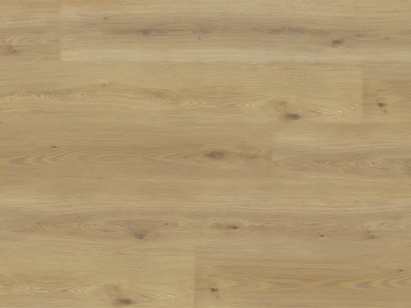 49098-lvt 55 8196l-001 Experto LVT 55 Dub Calle 8196L-001 - Obrázek 1
